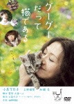 グーグーだって猫である|小泉今日子|ACBD-80649