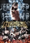 G1 CLIMAX2016|プロレス|TCED-3323