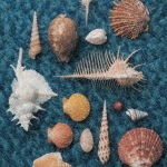 CYCLE HIT 1991-1997 Spitz Complete Single Collection|スピッツ|UPCH-2129