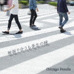 袖振り合うも多生の縁|Chicago Poodle|GZCA-5280