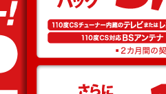 e2byスカパー！入ってますキャンペーン