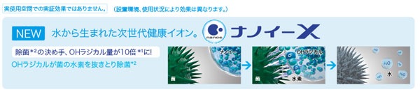 ナノイーX