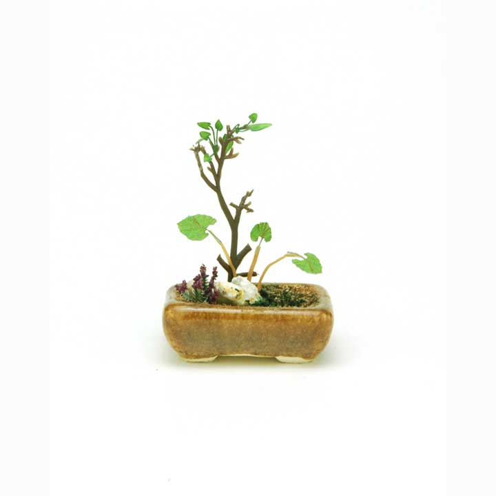 プラッツ|1/12 THE BONSAI 角鉢寄せ植え(茶)【BONN01】|BONN01 BONSAI ヨセウエ チャ プラッツ|1/12 THE BONSAI 角鉢寄せ植え(茶)【BONN01】|BONN01 BONSAI ヨセウエ チャ
