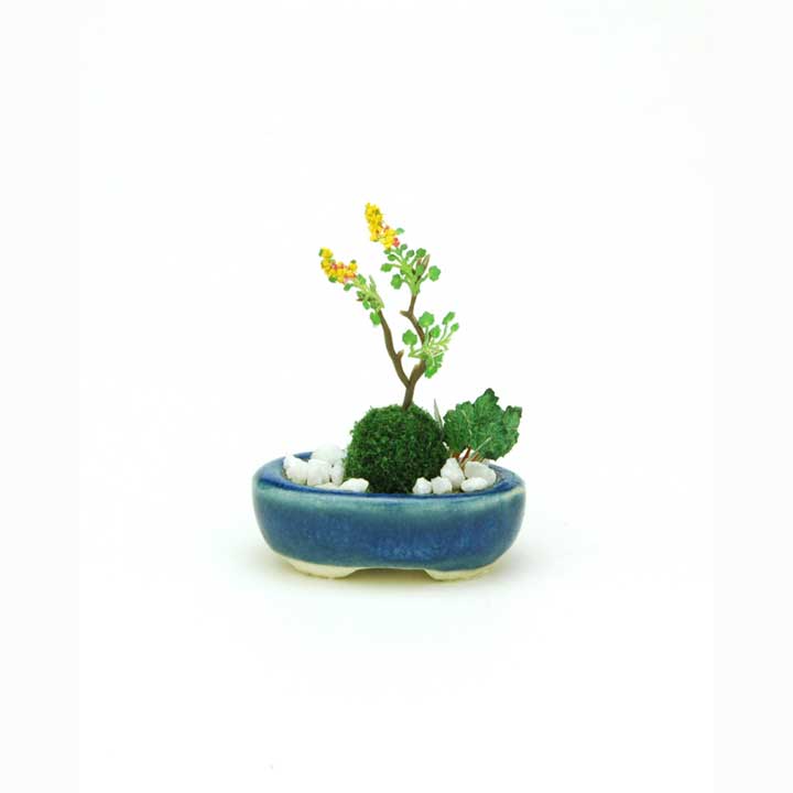 プラッツ|1/12 THE BONSAI 小判寄せ植え(紺)【BONN07】|BONN07 BONSAI コバンヨセウエ コン プラッツ|1/12 THE BONSAI 小判寄せ植え(紺)【BONN07】|BONN07 BONSAI コバンヨセウエ コン