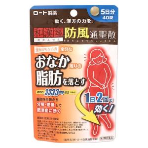 ロート製薬|新・ロート防風通聖散錠T 40錠|ワカンセンボウフウツウシヨウサン40T ロート製薬|新・ロート防風通聖散錠T 40錠|ワカンセンボウフウツウシヨウサン40T