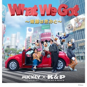 VIM療法プログラム DVD３枚組 特典DVD付 VIM療法プログラム】 松栄勲 整体 手技DVD 治療院マーケティング