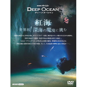 大沢たかお 神秘の北極圏 ―光と闇の旅― | 大沢たかお | NSDS