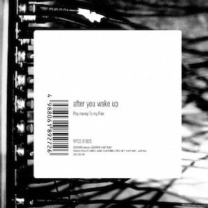 Drop of INK | Pay money To my Pain | VPCC-82604 | バップ