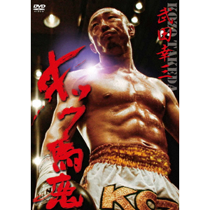 Amazon.co.jp: ハヤブサ不死鳥伝説~全日本参戦の足跡~ [DVD