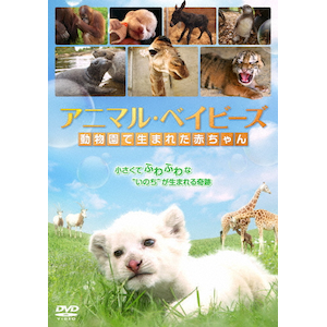 もうひとつのどうぶつえん ～絶滅動物ものがたり～ マンモスたち