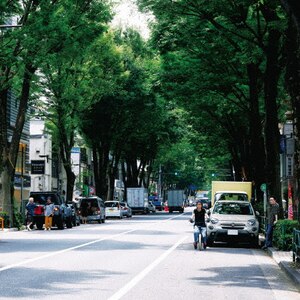 The Ordinary Road(初回限定盤A) | ストレイテナー | TYCT-69316