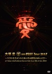 Every Little Thing 10th Anniversary Special Live at Nippon Budokan