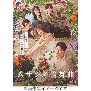 金曜ドラマ『ライオンの隠れ家』／Blu-ray BOX（送料無料・4枚組