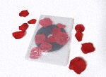どろぼう 〜dresscodes plays the dresscodes〜|ドレスコーズ|KIBM-747