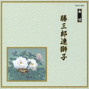 OYAq|IjoX|VZCG-6031