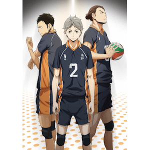 ハイキュー!! vol.6 Blu-ray | アニメーション | TBR-24356D