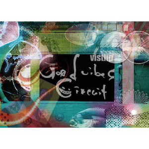 vistlip LIVE DVD「Good vibes CIRCUIT II」|vistlip|MJBD-72116
