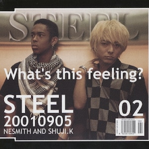 What's this feeling?|STEEL|FLCF-3878