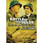 �o���W���� ���ʔ�|�w�����[�E�t�H���_|WTB-11086