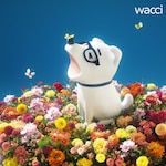 �L�����L|wacci|ESCL-4329