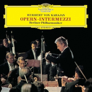 カラヤン　KARAJAN 1980s オーケストラ録音集 カラヤン1980s（78CD） : カラヤン、ヘルベルト