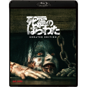 ̂͂킽(2013)ACebhEGfBV|WF[EB|BRM-80292