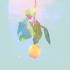 Lemon  �ĒÌ��t