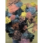 Birth of a Kiss|�T�j�[�f�C�E�T�[�r�X|ROSE-230
