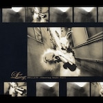 BULLETS-Shooting Super Star-|Lucy|VICL-35977