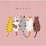 �t�����Y|wacci|ESCL-5355