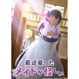 Amazon.co.jp: アニメ「最近雇ったメイドが怪しい」 Blu-ray BOX