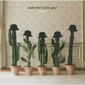 suits me! suits you!(񐶎YB)|wacci|ESCL-5715/6