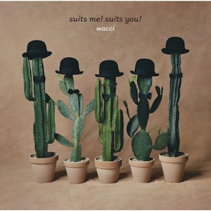 suits me! suits you!|wacci|ESCL-5717