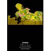 billboard classics Chara 30th ANNIVERSARY Premium Symphonic