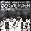 Social Path(feat. LiSA)/Super Bowl -Japanese ver.-(�ʏ��)�yCD�z  Stray Kids