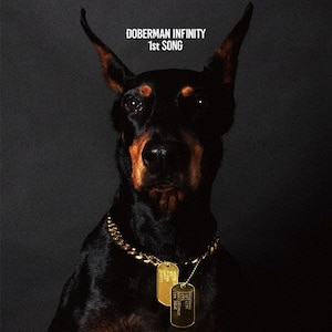 1st SONG|DOBERMAN INFINITY|XNLD-10216