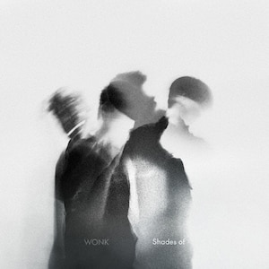 Shades of|WONK|POCS-23055