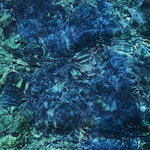 Luminescent Creatures|�t�s�q|HERMCD-003      