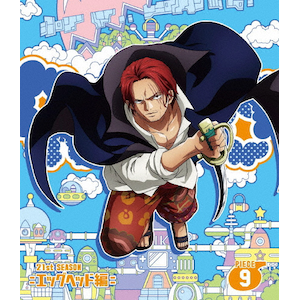ONE PIECE s[X 21STV[Y GbOwbh piece.9|Aj[V|EYXA-14663