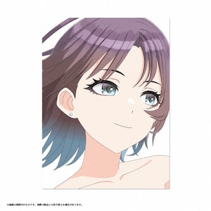 ACh}X^[ VCj[J[Y 2nd season Blu-ray  Aj[V