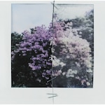 �����a/Starry Smile Story(��������)�yCD+���C�uBlu-ray�z|�R�u�N��|WPZL-32326/7    
