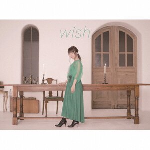 wish()|cߎq|VIZL-1564