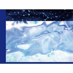 �Q��(���񐶎Y�����)|�_�R�r|AICL-3833/4