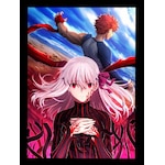����ŁuFate/stay night[Heaven's Feel]�vIII.spring song(�ʏ��)|�A�j���[�V����|ANSB-14407