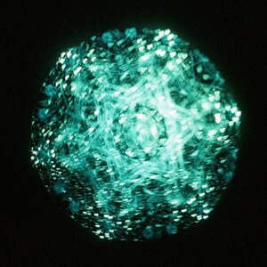 CƂ(񐶎Y)|[K[|KSCL-3343/4
