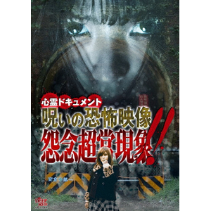 ホラー 怨霊 呪い 心霊 恐怖 都市伝説 DVD 108本まとめ売り