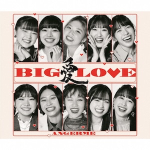 BIG LOVE(񐶎YB)|AW|HKCN-50753