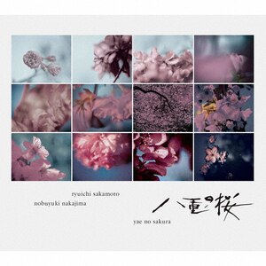 NHK̓h}ud̍v- IWiETEhgbN(Rv[g)|{,muL|RZCM-59519/20