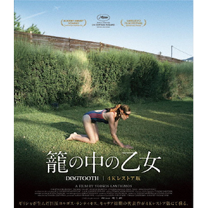 Ă̒̉ 4KXgA Blu-ray|NXgXEXeMIO|TCBD-1822
