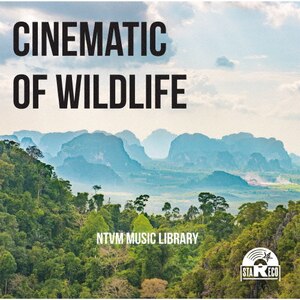 NTVM Music Library CINEMATIC OF WILDLIFE|CXgD^|VPCD-87201
